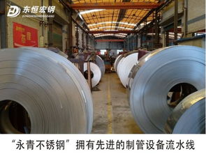 盾牌金属制品与东恒宏钢 金属制品行业的坚实守护者